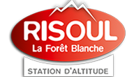 logo-risoul-1990