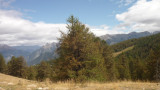 sentier des vieux arbres