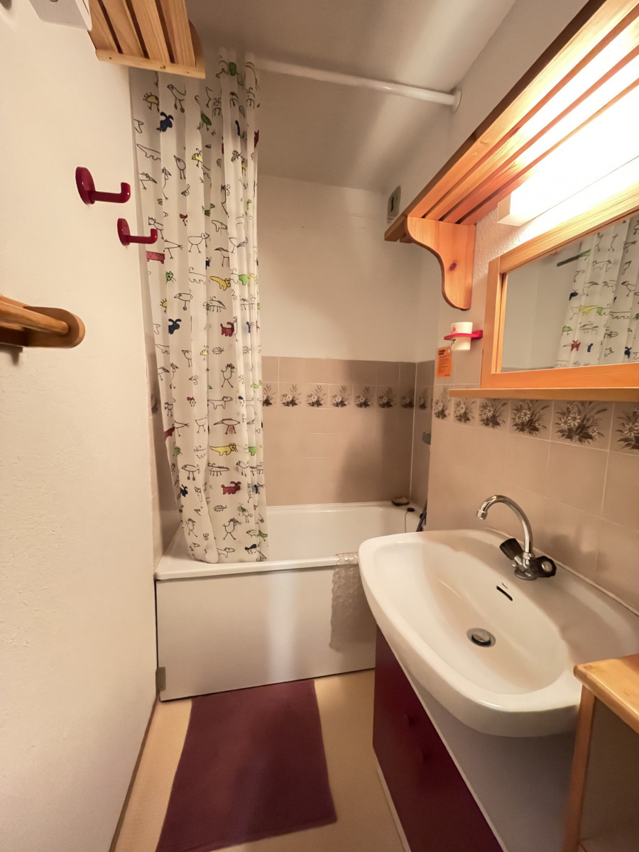 risoul_hebergement_century21_slp_immobilier_Edelweiss A 40_salle de bain